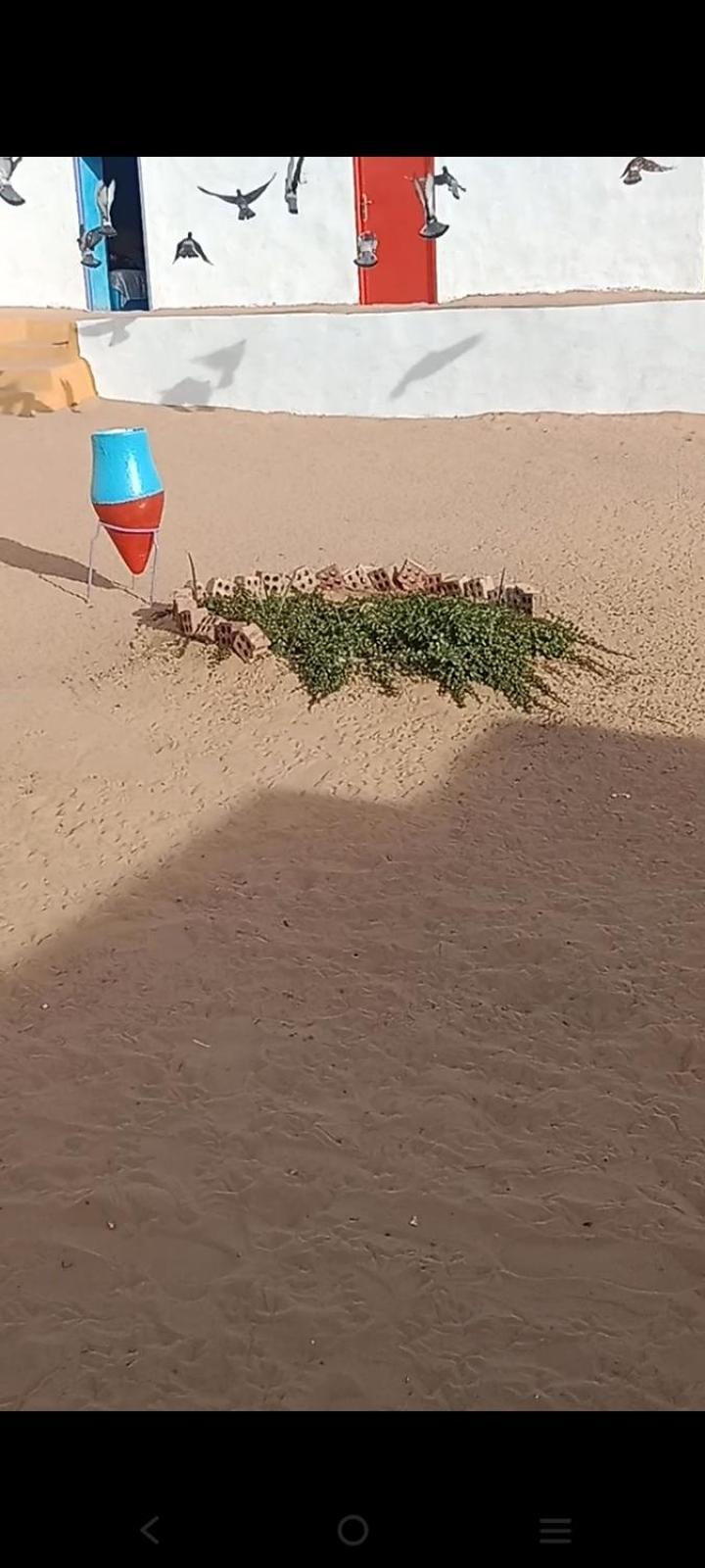 بيت شمس Asszuán Kültér fotó